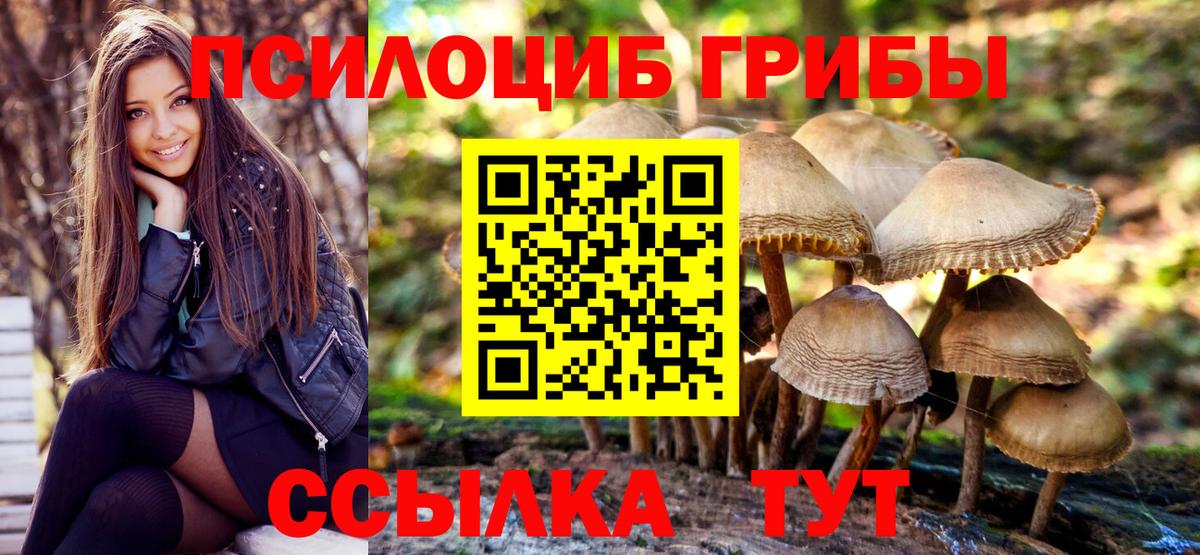 Галлюциногенные грибы Psilocybine cubensis Йошкар-Ола