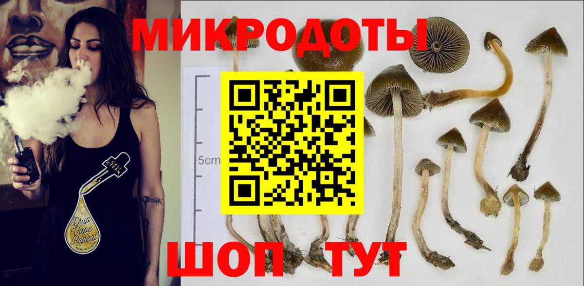 Йошкар-Ола  Галлюциногенные грибы мицелий  Вход с VPN 